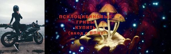 шишки Верхнеуральск