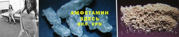 индика Верея