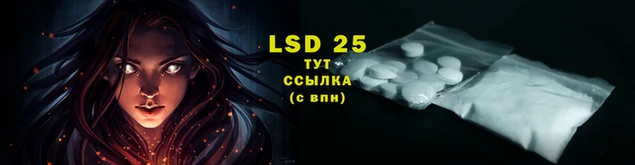 индика Верея
