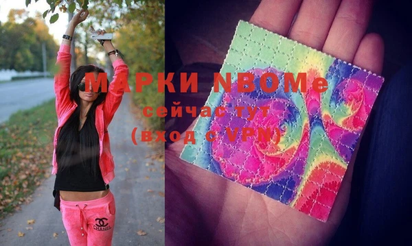 индика Верея
