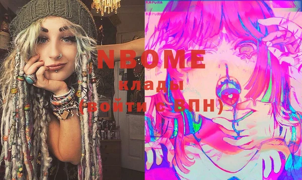 индика Верея