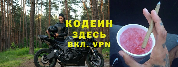 индика Верея
