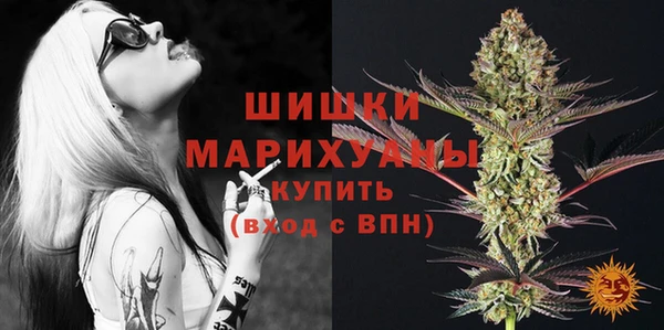 индика Верея