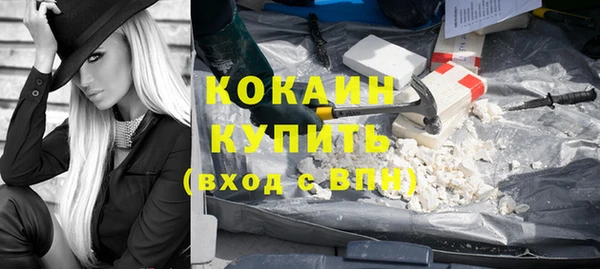 индика Верея