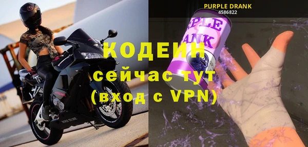 индика Верея