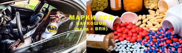индика Верея