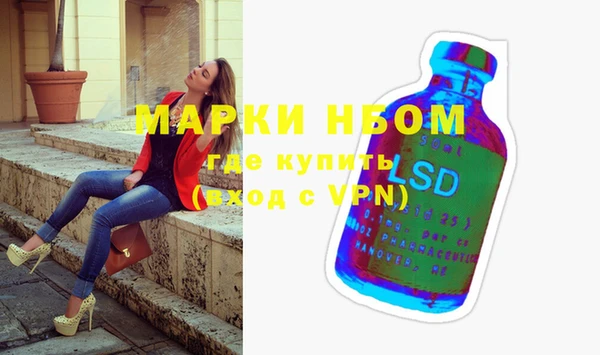 индика Верея