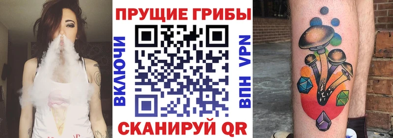 где купить наркотик  Копейск  Галлюциногенные грибы Magic Shrooms 